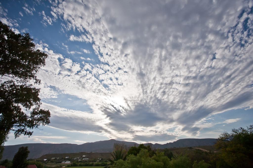 The Queen Of Calitzdorp Buitenkant foto